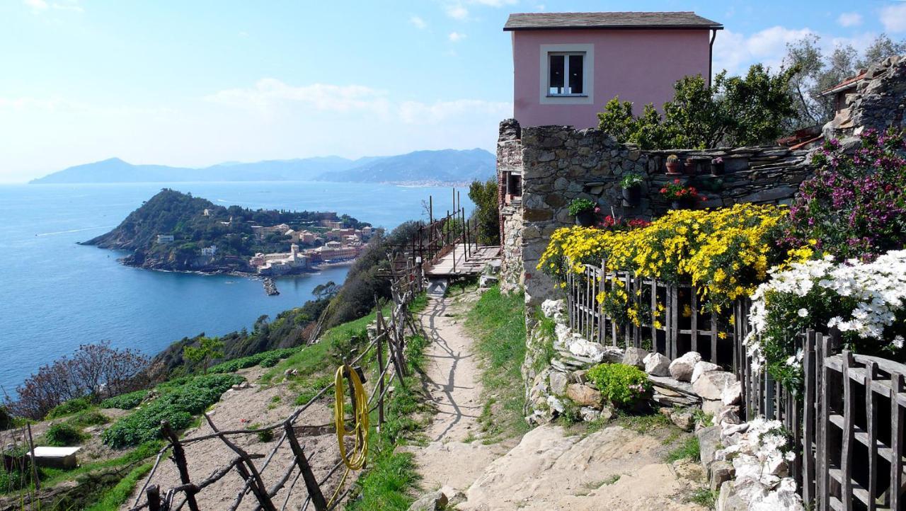 La Vie En Rose Flat Apartamento Sestri Levante Exterior foto